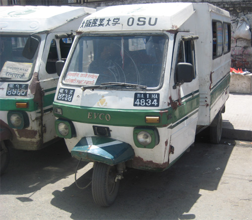 日本の大学が研究のために所有しているテンプー