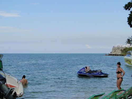何て平和でパラダイスなのでしょうか