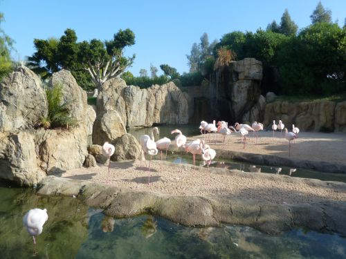 チケットを買ったあと河にかかる橋を渡って入園。すぐフラメンコが出迎えしてくれる