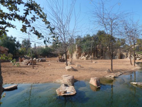 広いスペースが魅力。動物を閉じ込めている感がないのが人気の秘密かもしれません