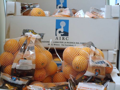 シチリア直送のブラッドオレンジ