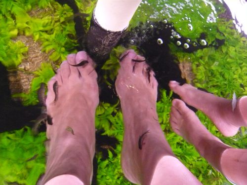 明らかに私の方により多くのドクターが食いついています…