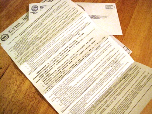 国税調査の注意書きの訳には中国語もあります