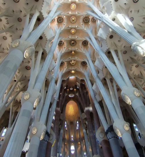 礼拝堂内には、幾つもの放物線をなした柱が美しくそびえています