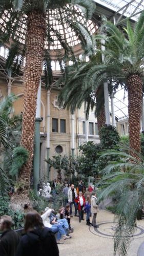 さながら植物園のよう