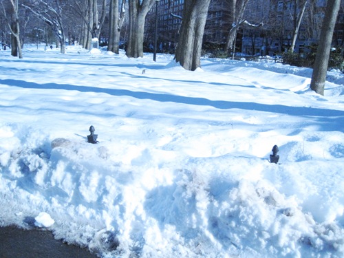 街中でも60〜70センチの積雪