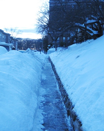 道路の端に積み上げられた雪は推定１メートル以上の高さ