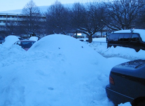 雪が降り積もって、かまくらのようになった車