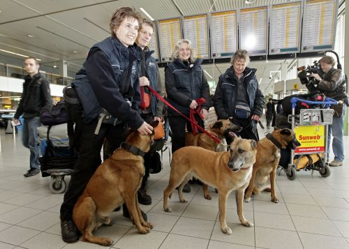 出陣前、スキポール空港にて