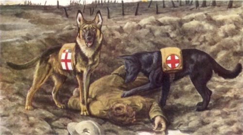 オランダの救助犬たちを描いた古い絵
