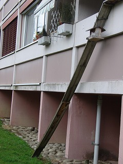 ちゃんとヒミツの通路を飼い主さんが作ってくれているのですが…