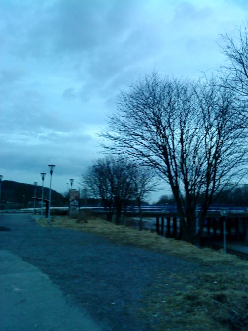 サマータイム切替の数日後　夜８時でもこの明るさです。夏至頃は夜11時ぐらいまで明るいです