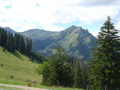 手頃なハイキングコースや森林がたくさんあるスイスですが…
