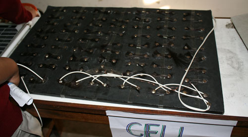 ピンの極の間には束ねた人毛が渡されています。 白髪やブロンドではメラニンがないのでダメとのこと。