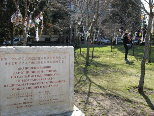 記念の碑と桜