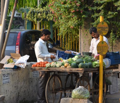 重いリヤカーに夏の野菜がギッシリ！