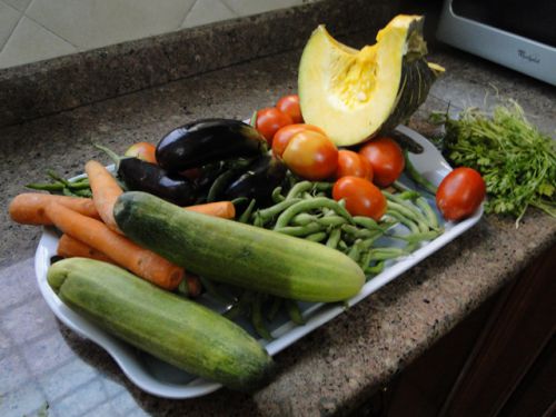 元気のいい夏野菜が300円！