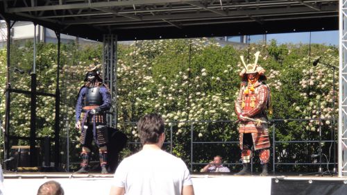 鎧かぶとをつけたデンマーク人