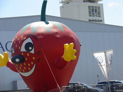 “いちご摘み放題”を楽しめるのは、5月下旬〜6月ぐらいまでの短い期間。シーズンになるとこのように巨大イチゴちゃんが「摘み放題やってますよ!」と教えてくれます(笑)