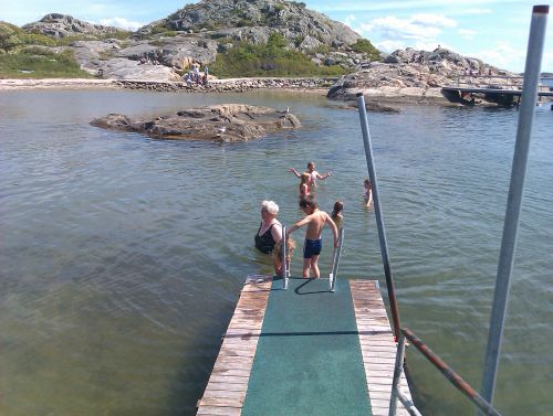 海水浴を楽しんでいます。