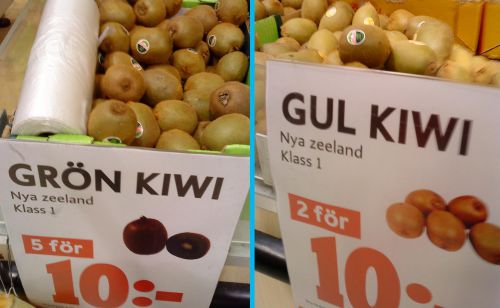 ニュージーランド産の一般的な緑のキウイ（左）とゴールデンキウイ、価格は大きさや品質によるので時価ですが、一般にゴールデンキウイは割高です