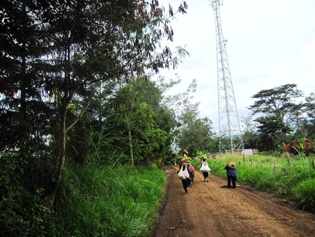 バナナを担いで歩く人々