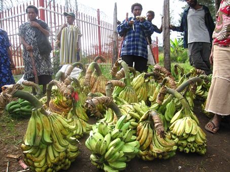 方々から集められたバナナ