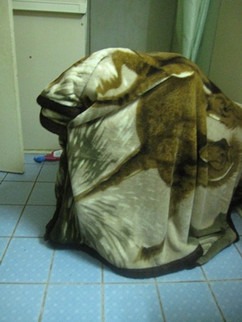 人にはあまり見せられない姿