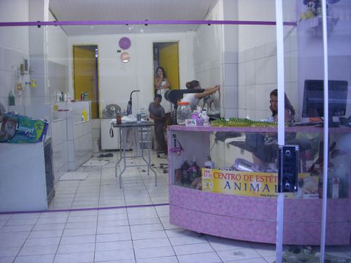 最近オープンしたペットのカットと入浴のみを専門に営業しているお店