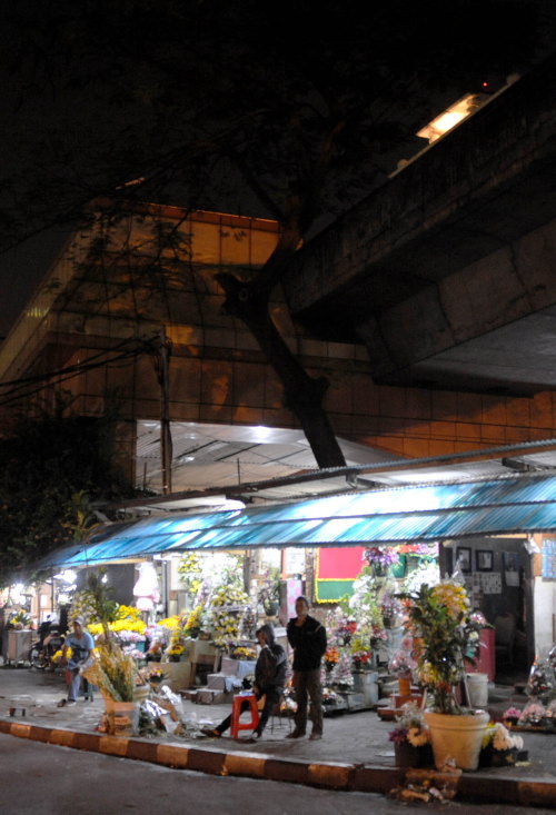 高架下に並ぶ花屋。深夜は通りを走る車やバイクもまばらだ（じゃかるた新聞記者・上松亮介写す）