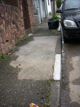 サンパウロ市内の通りは、フンの多い印象を受けます