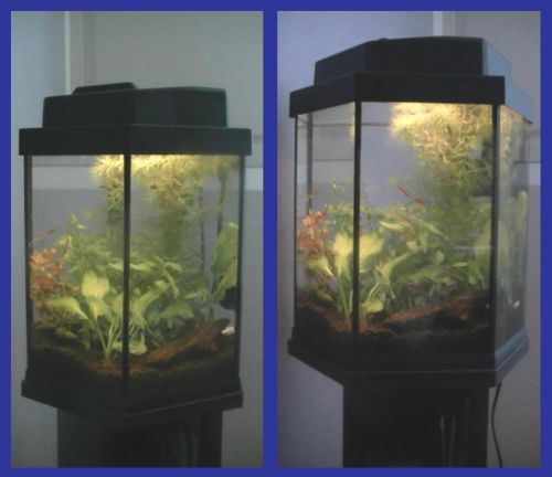 水槽 右サイド6角形