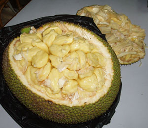 ごつごつした硬い皮の中は房に分かれています