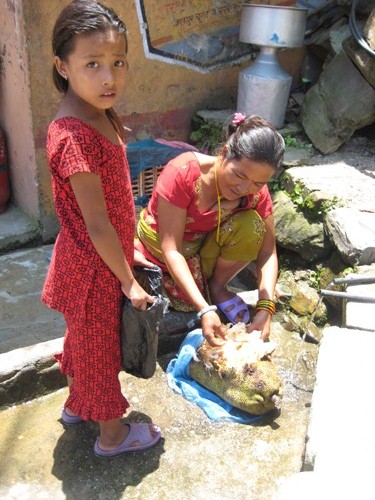 母子で水洗いをしていました