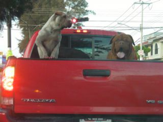 お出かけこそ、ご一緒させていただきたい！