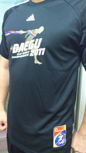 某スポーツメーカーの「テグ2011Tシャツ」