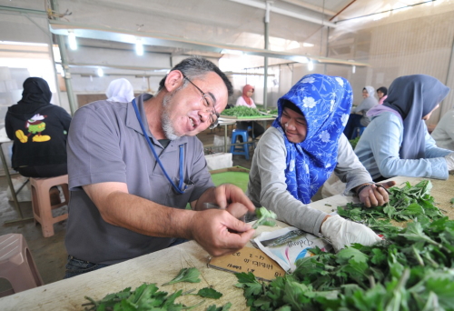 苗の出荷作業を行う立尾さん（左）とインドネシア人従業員。敷地内にある母屋の２階で暮らしている立尾さんは、農場のお父さん的存在です