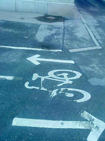 市街地の自転車専用道路、進行方向も分かれています。