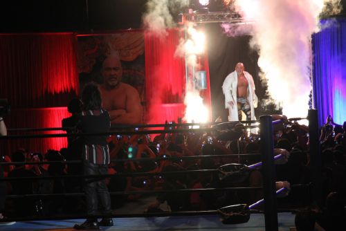 曲の終盤には武藤敬司も登場！