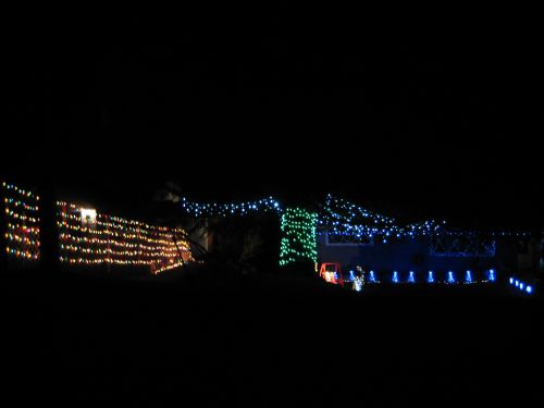 屋根のひさし、フェンス、庭の木を電飾で飾ったお宅。庭には電動式ブランコに乗ったサンタクロース夫妻の人形が置かれています