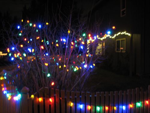 LEDライトを使ったイルミネーション。最近はこの手のライトが主流になって来ました