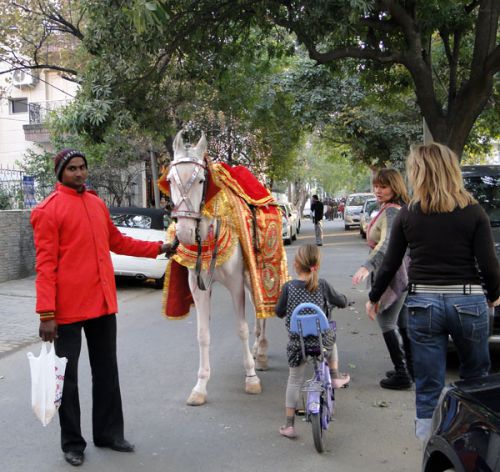 家の人は踊り狂って大はしゃぎです