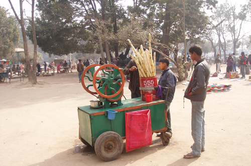 公園内で移動販売