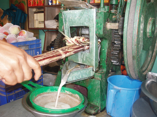 濁っているけれど、これが自然というもの