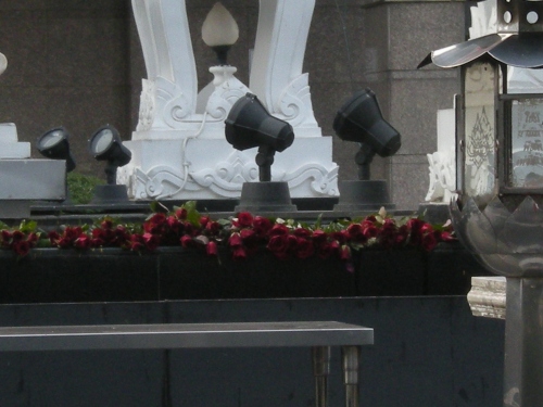 捧げられた真っ赤なバラの花