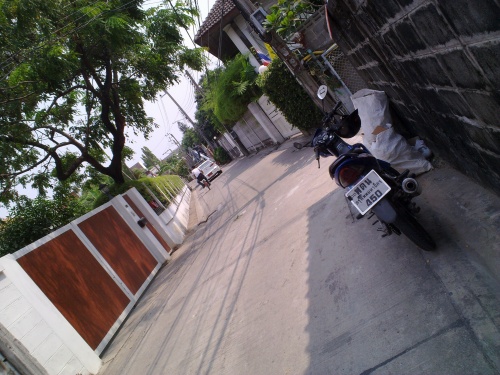 鉄骨が引っかかった木。怖かった！