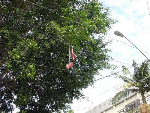 電線に引っかけられた靴