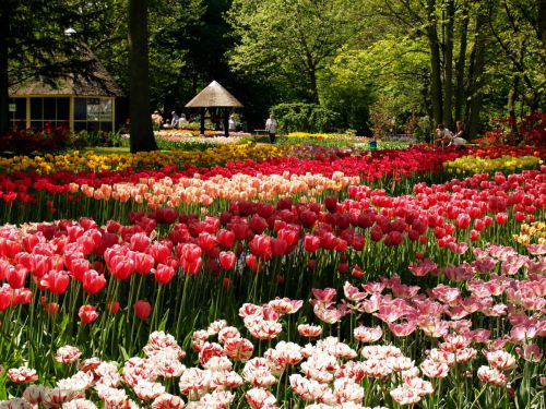 世界一美しい春の庭園といわれます