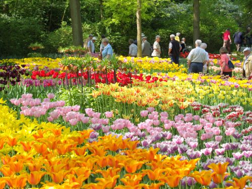 訪れる人の誰もが笑顔です