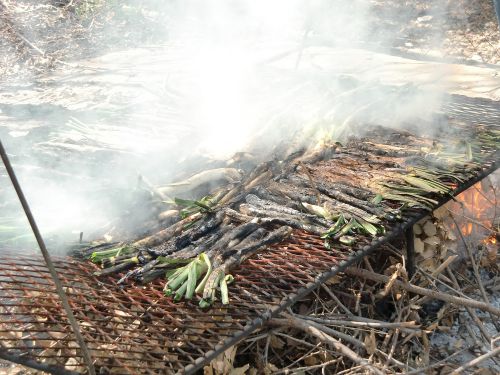 真っ黒になるまでしっかり焼き、食べる寸前まで新聞紙で保温します。